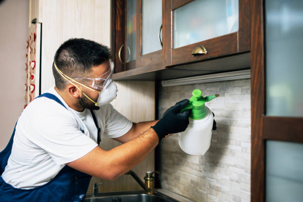 Best Local Pest Control Services  in Ingalls Park, IL