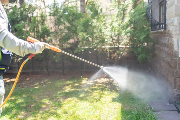 Best Insect Control  in Ingalls Park, IL