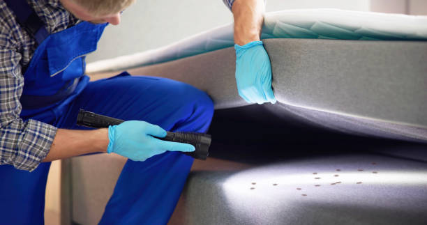 Best Pest Control Near Me in Ingalls Park, IL