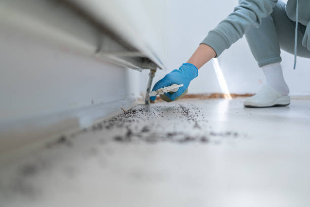 Best Ant Control Services  in Ingalls Park, IL